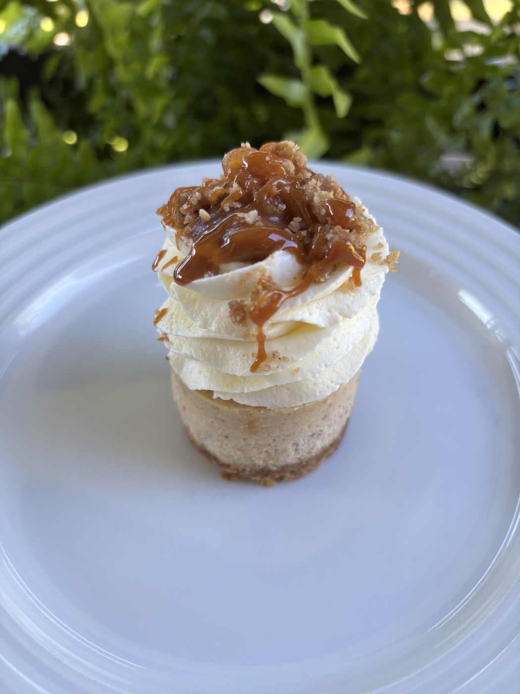 Mini cheesecake topped with piped cream and caramel on a white plate