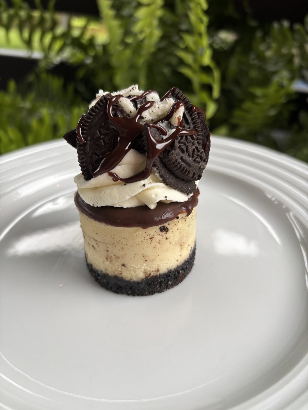 Oreo mini cheesecake with piped cream, chocolate drizzle and an Oreo cookie on a white plate