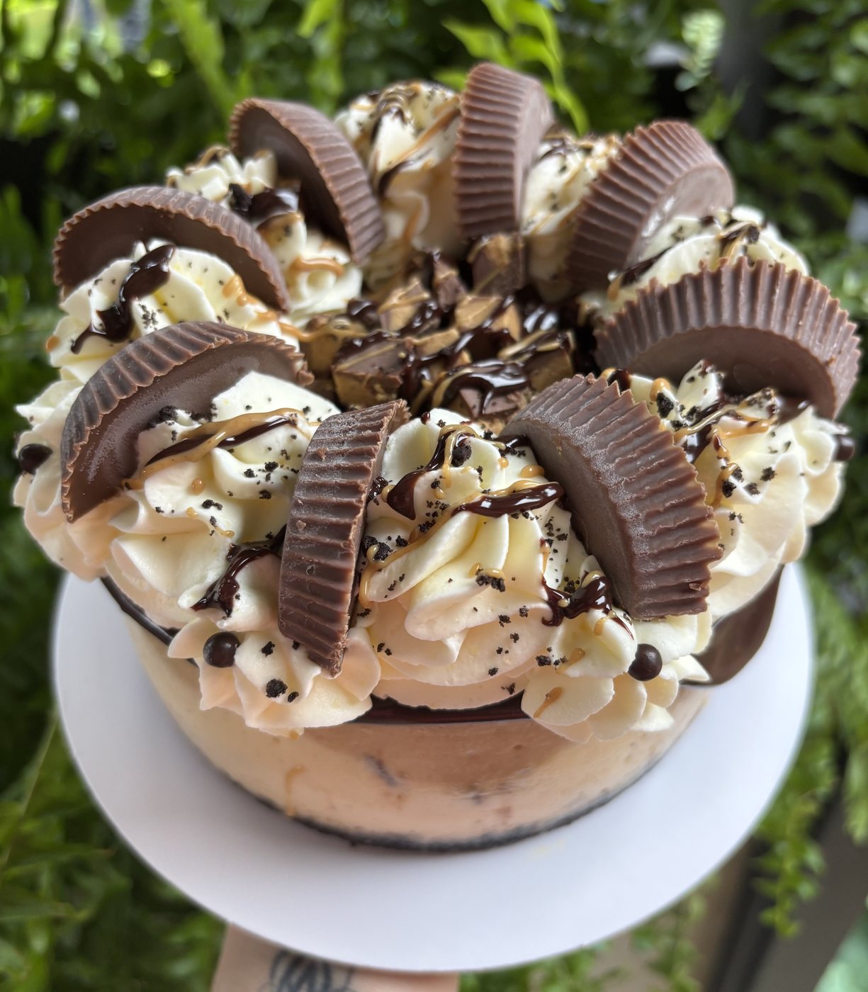 Full cheesecake piled with Reese peanut butter cups, piped cream and chocolate drizzle