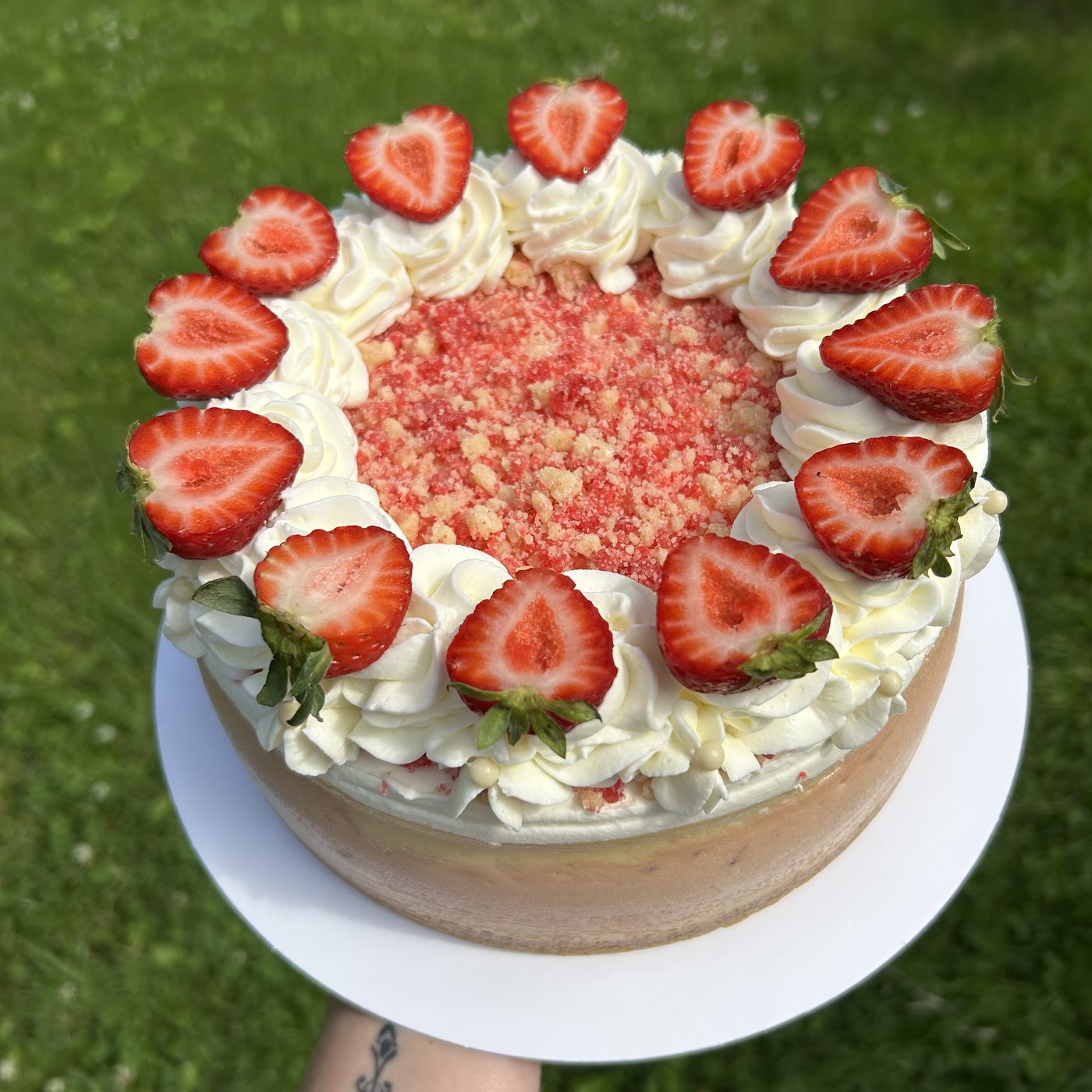 Full cheesecake ringed with fresh strawberry halves and piped cream, held over the grass