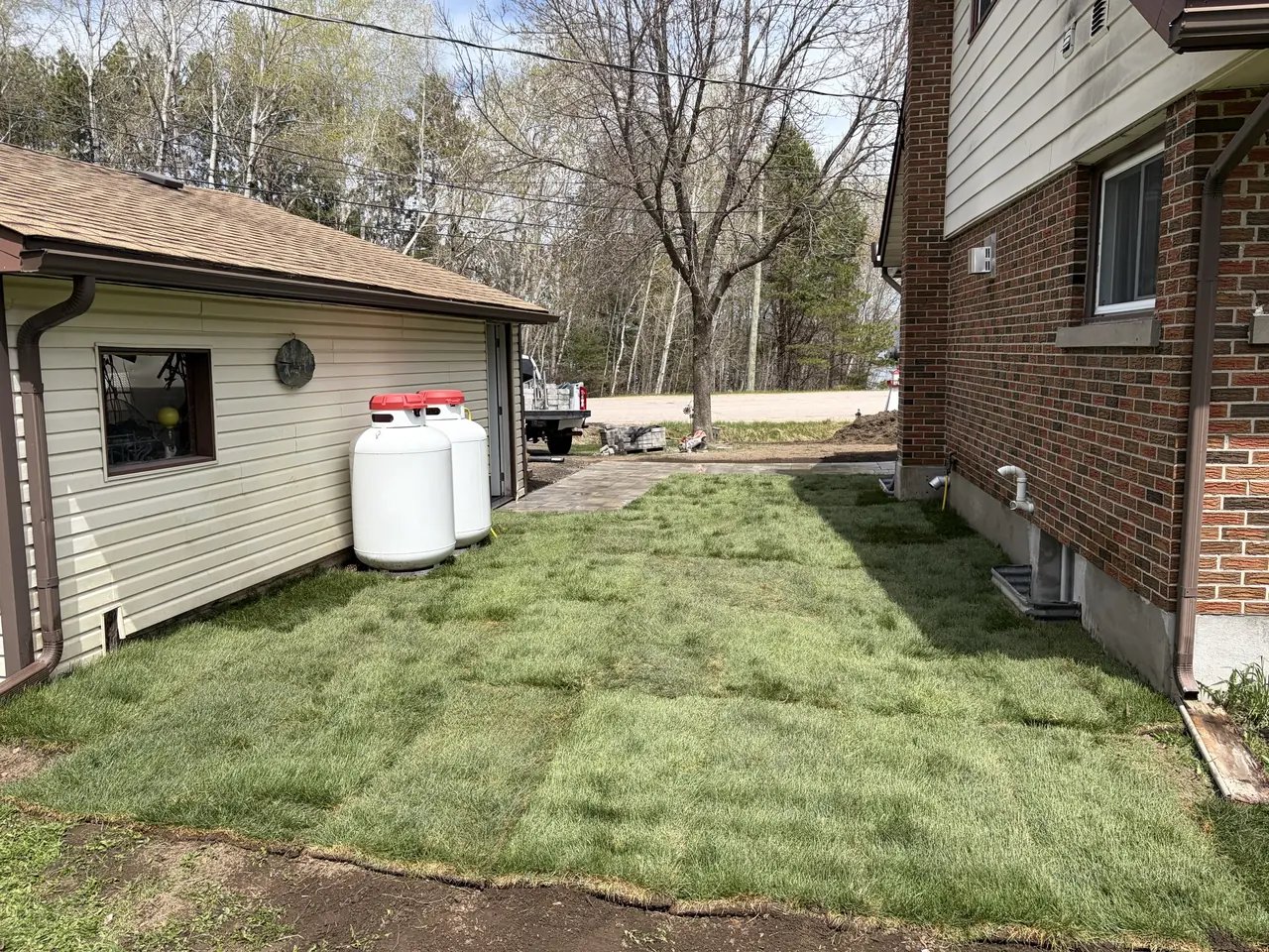 Fresh sod lawn installed by Edwards Landscape and Construction beside a North Bay home